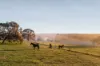 84 Fordes Lane, Kyneton, Vic 3444-Image