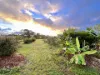 84 Gordon Earl Drive, Millstream, Qld 4888-Image