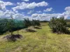 84 Gordon Earl Drive, Millstream, Qld 4888-Image