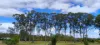 84 Gordon Earl Drive, Millstream, Qld 4888-Image