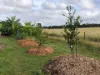 84 Gordon Earl Drive, Millstream, Qld 4888-Image
