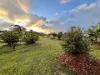 84 Gordon Earl Drive, Millstream, Qld 4888-Image