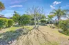 84 Hanbury Street, Bundaberg North, Qld 4670-Image
