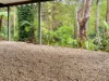 84 Nelson Street, Nambucca Heads, NSW 2448-Image