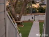 84 Pine Street, North Ipswich, Qld 4305-Image
