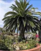 84 Railway Road, Elmore, Vic 3558-Image