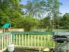 84 Richardson Street, Wingham, NSW 2429-Image