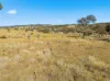 84 South Street, Molong, NSW 2866-Image
