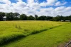 84 St. Marys Road, Berkshire Park, NSW 2765-Image