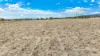 84 Turanville Road, Scone, NSW 2337-Image