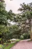 84 Wollaston Road, Warrnambool, Vic 3280-Image