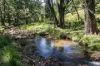 843 Wattamolla Road, Wattamolla, NSW 2535-Image