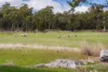 845 Killora Road, North Bruny, Tas 7150-Image