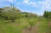 846 Tower Hill Road, Illowa, Vic 3282-Image