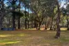 848 Ophir Road, Orange, NSW 2800-Image