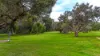 849 Cape Willoughby Road, Ironstone, SA 5222-Image