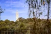 849 Padman Drive, West Albury, NSW 2640-Image