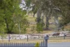 84A Jackson Street, Sunbury, Vic 3429-Image