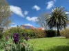 85 Auburn Vale Road, Inverell, NSW 2360-Image