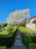 85 Auburn Vale Road, Inverell, NSW 2360-Image