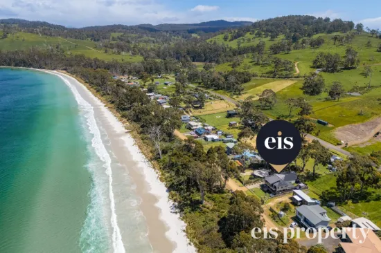 85 Big Roaring Beach Road, Surveyors Bay, Tas 7116