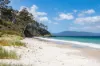 85 Big Roaring Beach Road, Surveyors Bay, Tas 7116-Image