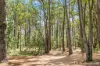 85 Carinyah Road, Pickering Brook, WA 6076-Image