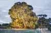 85 Education Road, Chandlers Hill, SA 5159-Image