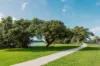 85 Esplanade, Toorbul, Qld 4510-Image