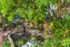 85 Evandale Street, Floreat, WA 6014-Image