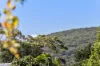 85 Forest Road, Ferntree Gully, Vic 3156-Image
