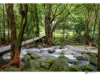85 Greer Road, Mirriwinni, Qld 4871-Image