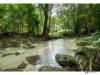 85 Greer Road, Mirriwinni, Qld 4871-Image
