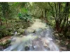 85 Greer Road, Mirriwinni, Qld 4871-Image