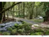 85 Greer Road, Mirriwinni, Qld 4871-Image