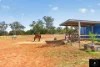 85 Kerry Elizabeth Drive, Gunnedah, NSW 2380-Image