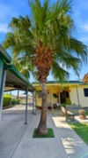 85 Milton Street, Grafton, NSW 2460-Image