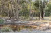 85 Phillips Road, Smythesdale, Vic 3351-Image