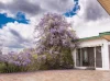85 Prince Terrace, Inverell, NSW 2360-Image