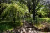 85 Prince Terrace, Inverell, NSW 2360-Image