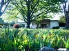 85 Prince Terrace, Inverell, NSW 2360-Image