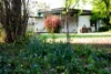 85 Prince Terrace, Inverell, NSW 2360-Image