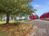 85 Saviges Road, Yallourn North, Vic 3825-Image
