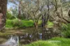 850 Clayton Road, Helena Valley, WA 6056-Image