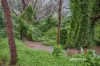 850 Clayton Road, Helena Valley, WA 6056-Image