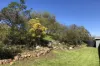 851 Lake Road, Bethanga, Vic 3691-Image