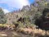 855 Tyne Road, Mathinna, Tas 7214-Image