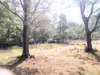 855 Tyne Road, Mathinna, Tas 7214-Image