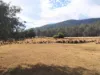 855 Tyne Road, Mathinna, Tas 7214-Image