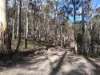 855 Tyne Road, Mathinna, Tas 7214-Image